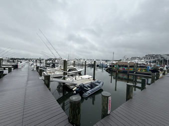 Enlarge photo 169
