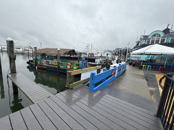 Enlarge photo 167