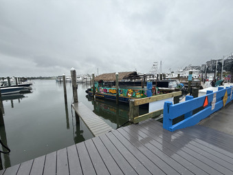 Enlarge photo 199