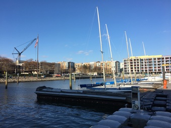 Enlarge photo 51