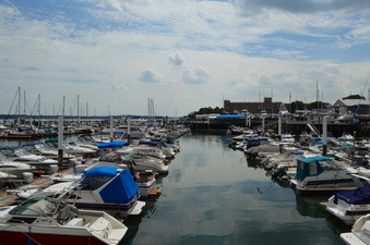 Enlarge photo 10