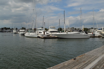 Enlarge photo 23