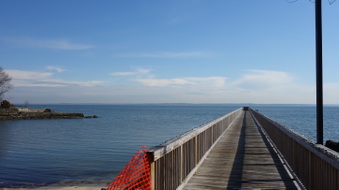Enlarge photo 14