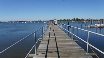 Enlarge photo 5
