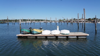 Enlarge photo 20