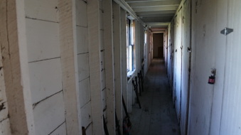 Enlarge photo 51