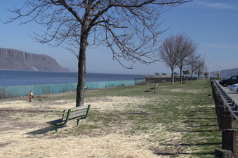 Enlarge photo 9