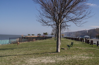 Enlarge photo 28