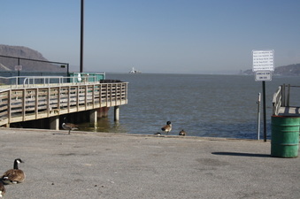 Enlarge photo 42
