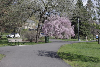 Enlarge photo 8