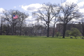 Enlarge photo 13