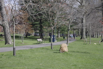 Enlarge photo 14