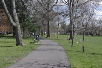 Enlarge photo 15