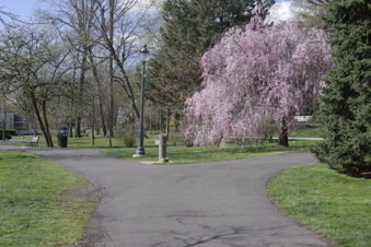 Enlarge photo 18