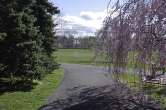 Enlarge photo 19