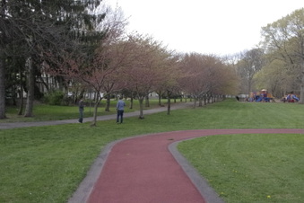 Enlarge photo 2