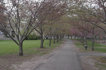 Enlarge photo 7