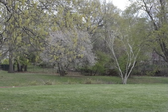 Enlarge photo 13