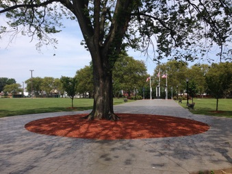 Carteret Park
