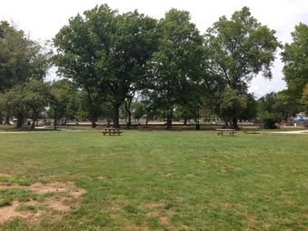 Enlarge photo 19