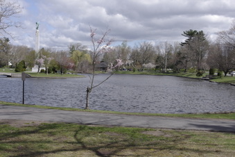 Enlarge photo 4