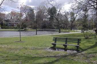 Enlarge photo 10