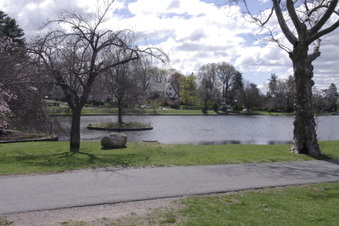 Enlarge photo 17