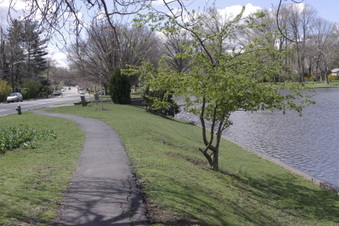 Enlarge photo 22
