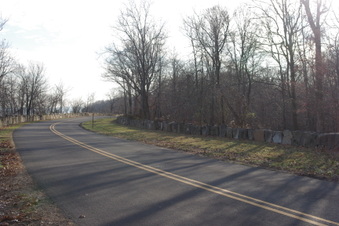 Enlarge photo 45