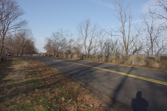 Enlarge photo 49