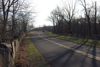 Enlarge photo 50