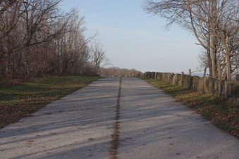 Enlarge photo 56