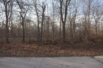 Enlarge photo 57