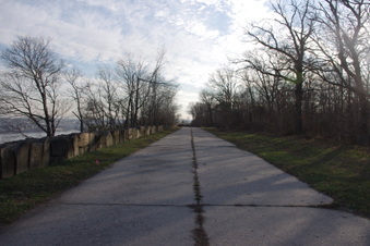Enlarge photo 58