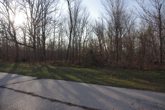 Enlarge photo 60