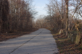 Enlarge photo 63