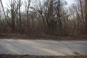 Enlarge photo 64