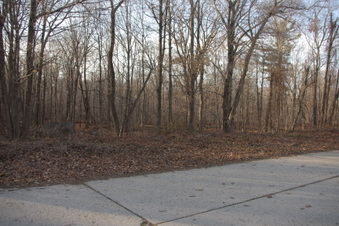 Enlarge photo 65