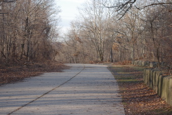 Enlarge photo 66