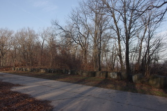 Enlarge photo 67