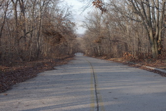 Enlarge photo 69