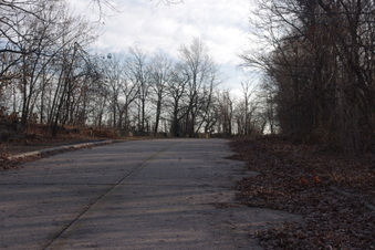 Enlarge photo 71