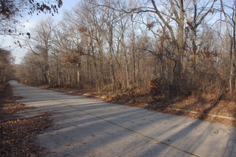 Enlarge photo 72