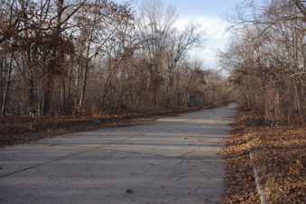 Enlarge photo 73