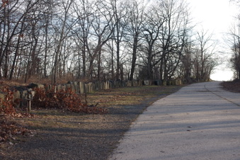 Enlarge photo 74