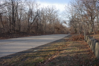 Enlarge photo 76