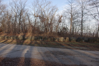 Enlarge photo 77