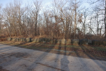 Enlarge photo 78