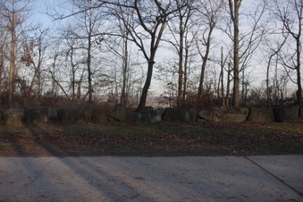 Enlarge photo 79