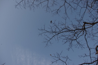 Enlarge photo 80
